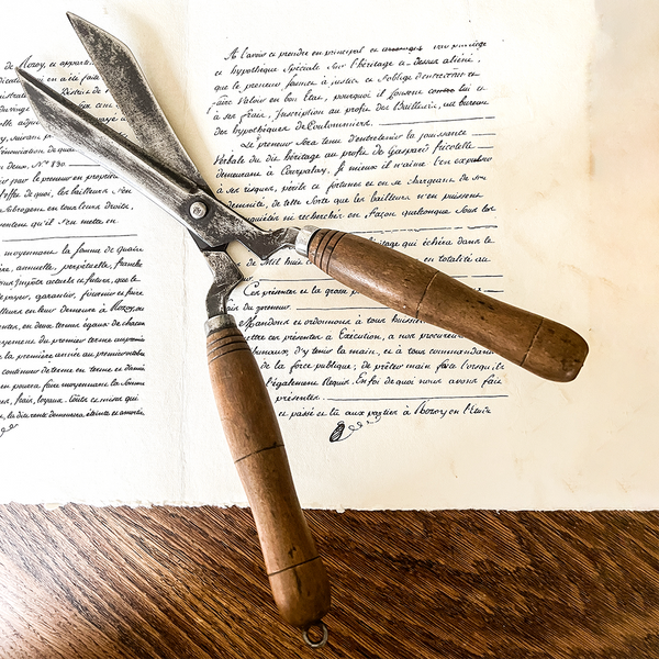 Vintage Shears. Curated Living