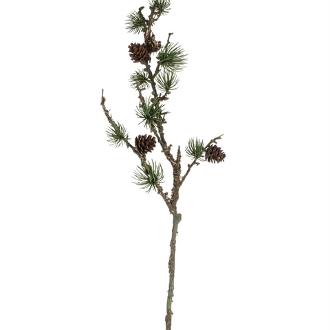 'Pine Branch' by Grand Illusions