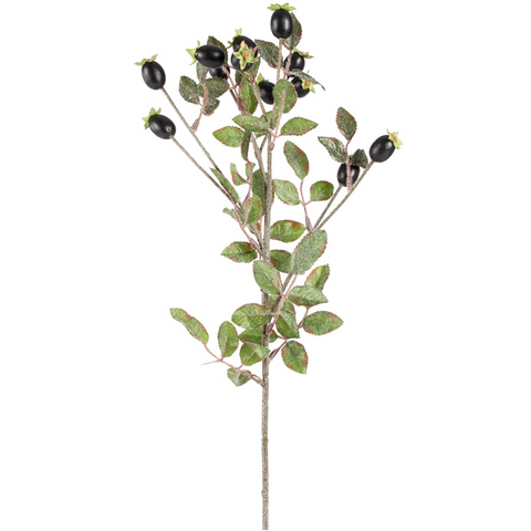 'Rose Hips Black' by Grand Illusions