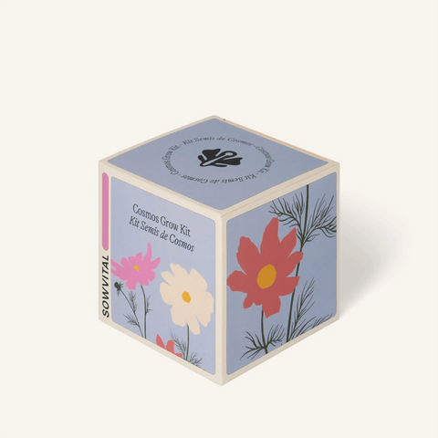 'Cosmos Grow Kit' by Sowvital of London - Curated Living