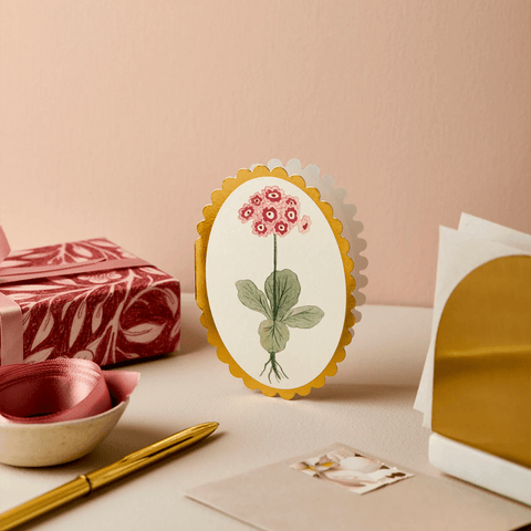 Greeting Card 'Auricula' Mini by Wanderlust - Curated Living