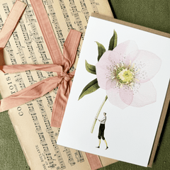 Greeting Card 'Pink Hellebore' by Laura Stoddart - Curated Living