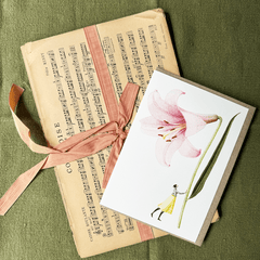 Greeting Card 'Pink Lily' by Laura Stoddart - Curated Living