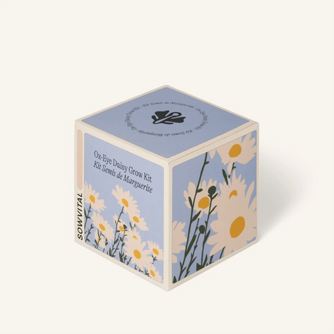 'Ox-Eye Grow Kit' by Sowvital of London - Curated Living