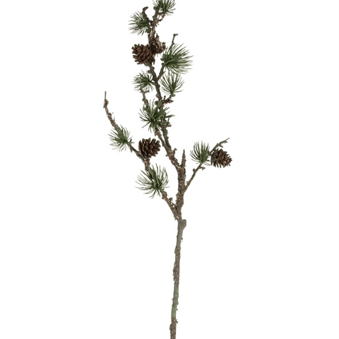 'Pine Branch' by Grand Illusions - Curated Living