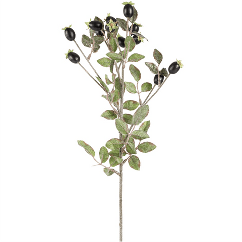'Rose Hips Black' by Grand Illusions - Curated Living
