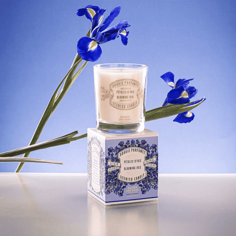 Scented Candle 'Iris' by Panier des Sens of Provence - Curated Living