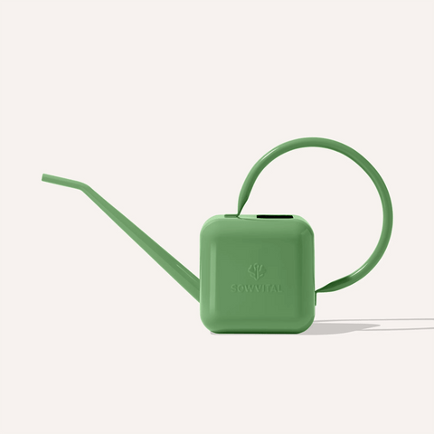 "The Watering Can" in Fern by SowVital - Curated Living