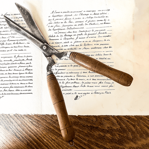 Vintage Shears. - Curated Living