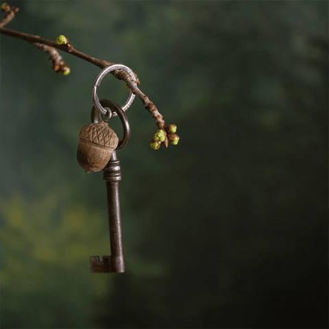 Wooden 'Acorn' Keyring by Wildlife Garden of Sweden - Curated Living