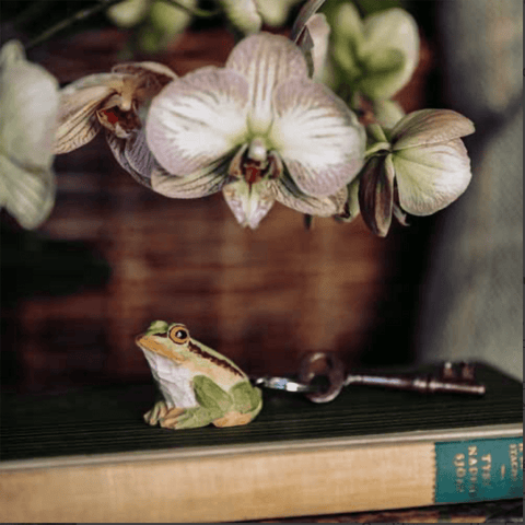 Wooden 'Frog' Keyring by Wildlife Garden of Sweden - Curated Living