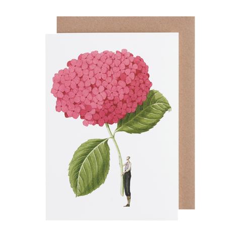Laura Stoddart Card, Pink Hydrangea.