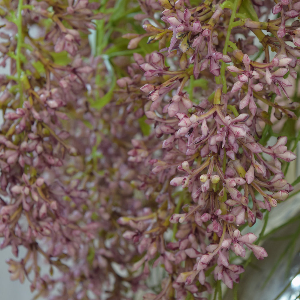 Abigail Ahern Flowers: Faux Trailing Lilac & Trailing Horsetail