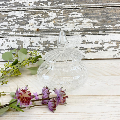 Clear Glass 'Pumpkin Jar' Wide with Lid by Bungalow of Denmark - Curated Living