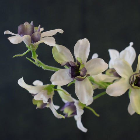 Faux 'Delphinium - White and Purple' Flower Stem by Silk-Ka - Curated Living